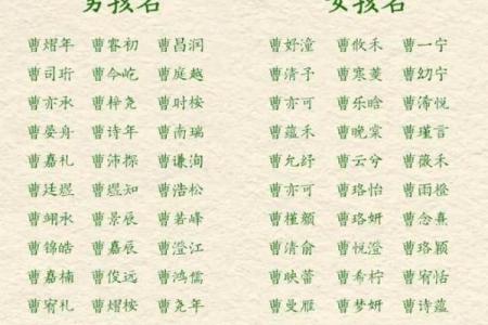 曹氏起名秘笈揭秘
