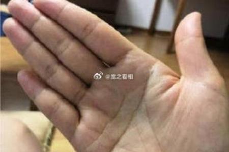 断掌手相揭秘：竟也有事业线？揭秘你的命运密码