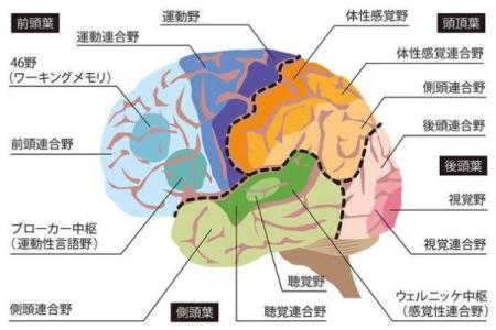 揭秘神奇面相：不对称耳朵，隐藏的运势密码