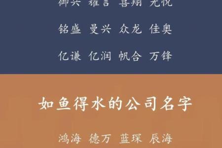 服饰公司起名攻略：选对名字，打开成功之门