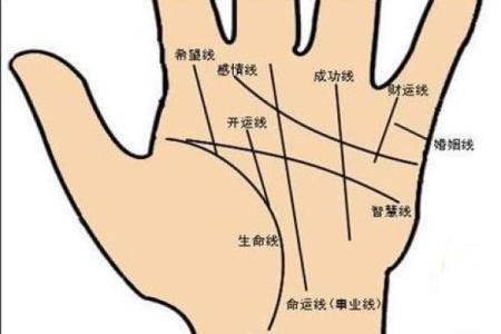手相揭秘：你的命运伴侣，看这一招就能知晓