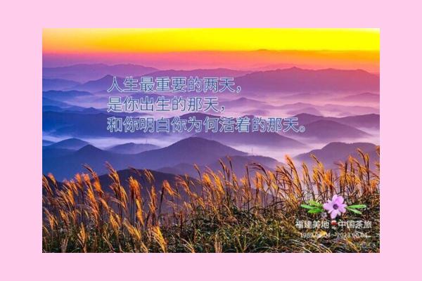 你出生的那一天，竟决定了人生的走向