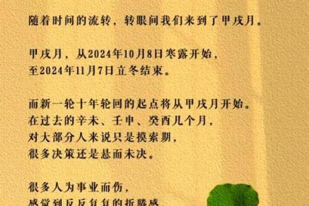 生肖轮回，运势翻盘：揭秘2024年生肖运势大揭秘