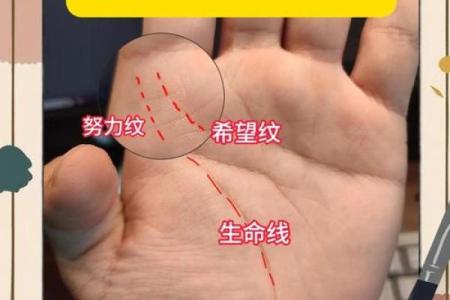 揭秘手相事业线和财运线：掌握运势，财富翻倍