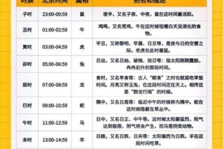 了解子时五行属性，轻松掌握命理