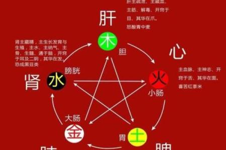 吉字五行属性大揭秘：它如何影响你的运势