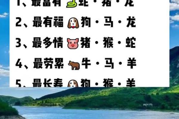 生肖精锐：揭秘十二生肖中的佼佼者
