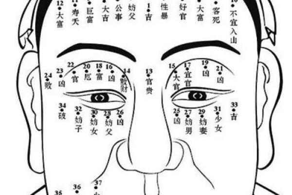 面相揭秘：一眼看穿命运，破解人生运势密码