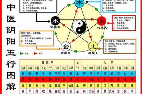 五行属性深度解析，找准人生方向