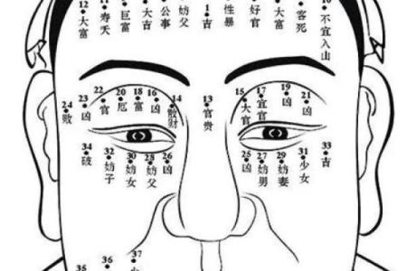 面相揭秘：一眼看穿命运，破解人生运势密码