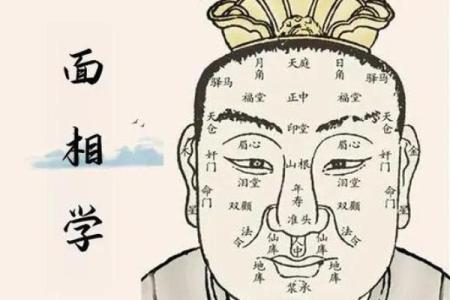 痣相面相大师独家解读：运势密码大公开