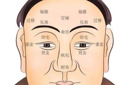 面相星座揭秘：揭秘你的命运密码，一窥运势未来