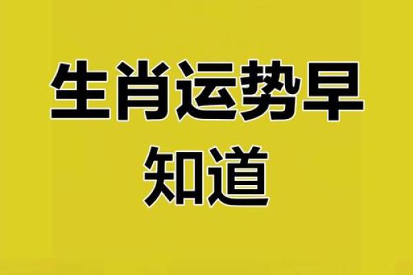 妾打一生肖，揭秘生肖运势大揭秘