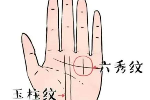 手背长毛竟预示着这惊人运势，手相揭秘
