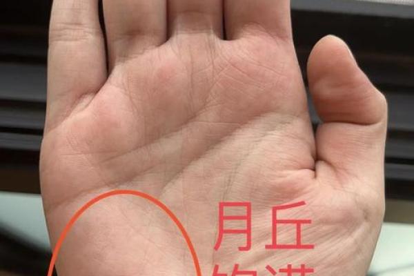 手相揭秘：伟人手上的秘密，这些特征让你一窥不凡人生