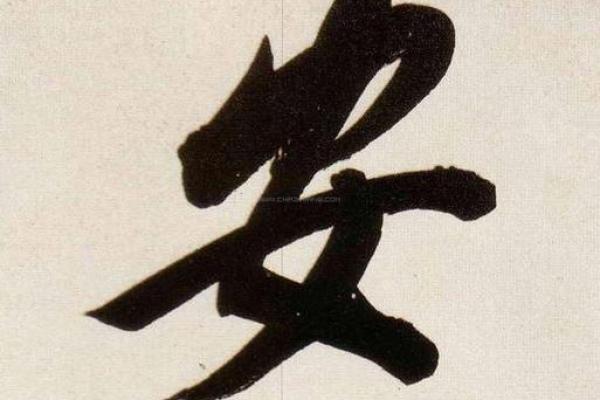 安字的五行属性，揭开命运的神秘面纱
