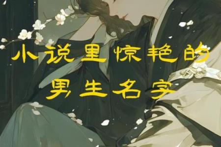 扈天翼星座揭秘：探寻星辰中的神秘力量