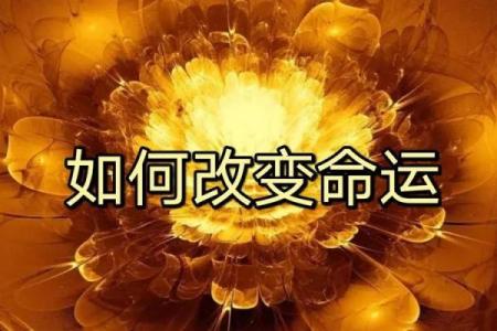 辛卯日五行属性详解，掌握命运的钥匙