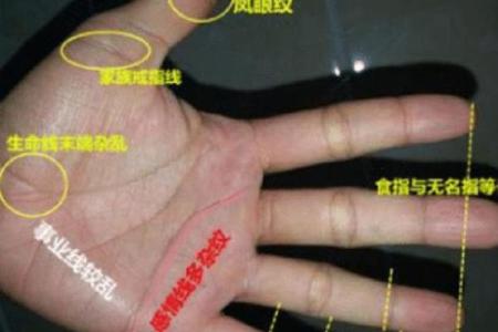 手背长毛竟预示着这惊人运势，手相揭秘