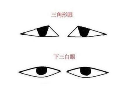 同款面相，不同命运：揭秘面相相似者的命运轨迹