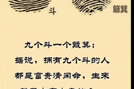 掌中乾坤：揭秘手相中最关键的命理奥秘