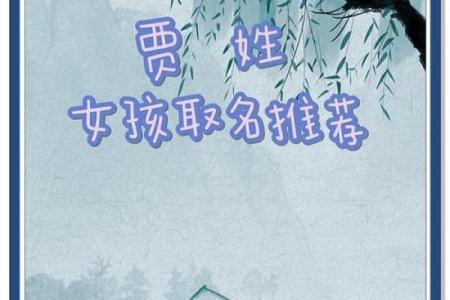 贾姓宝宝名字大全，给孩子起个与众不同的名字