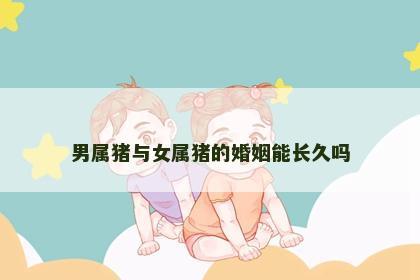 男属猪与女属猪的婚姻能长久吗