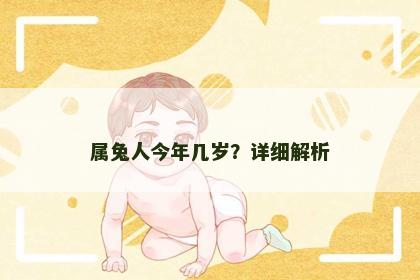 属兔人今年几岁？详细解析