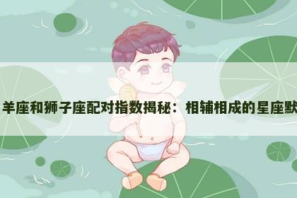 白羊座和狮子座配对指数揭秘：相辅相成的星座默契