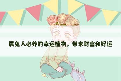 属兔人必养的幸运植物，带来财富和好运