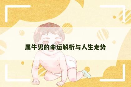属牛男的命运解析与人生走势