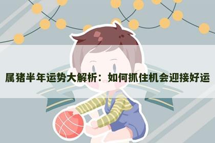 属猪半年运势大解析：如何抓住机会迎接好运