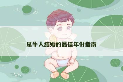 属牛人结婚的最佳年份指南