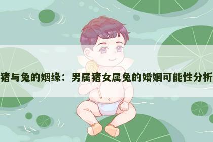 猪与兔的姻缘：男属猪女属兔的婚姻可能性分析