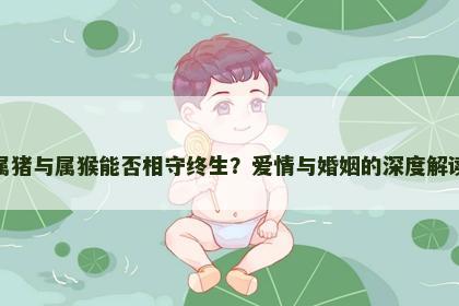 属猪与属猴能否相守终生？爱情与婚姻的深度解读