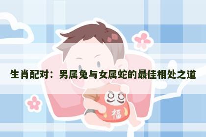 生肖配对：男属兔与女属蛇的最佳相处之道