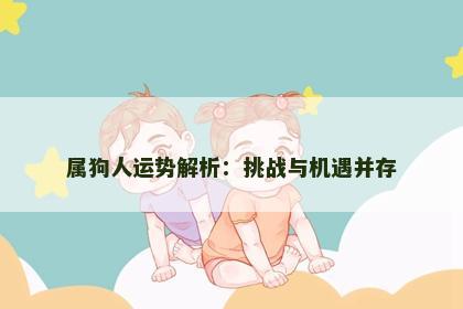 属狗人运势解析：挑战与机遇并存