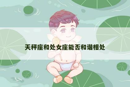 天秤座和处女座能否和谐相处