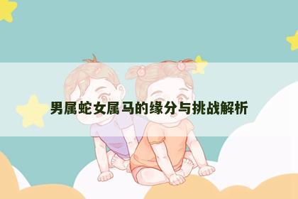 男属蛇女属马的缘分与挑战解析