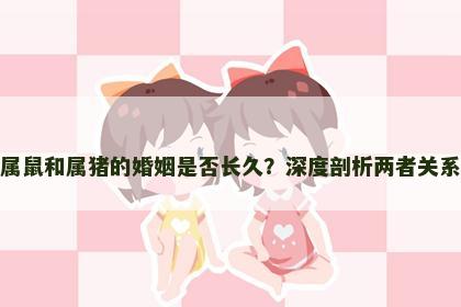 属鼠和属猪的婚姻是否长久？深度剖析两者关系