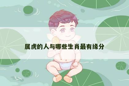 属虎的人与哪些生肖最有缘分