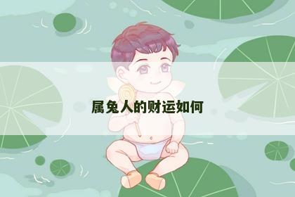 属兔人的财运如何