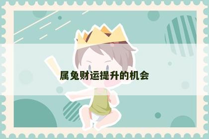 属兔财运提升的机会