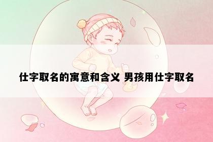 仕字取名的寓意和含义 男孩用仕字取名