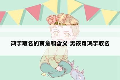 鸿字取名的寓意和含义 男孩用鸿字取名