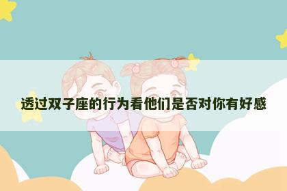 透过双子座的行为看他们是否对你有好感