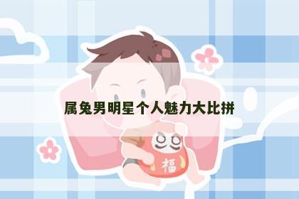 属兔男明星个人魅力大比拼
