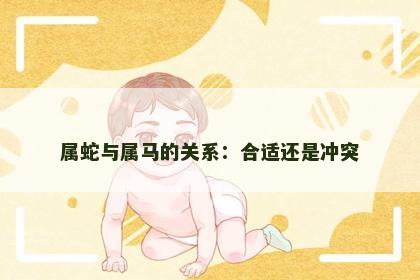 属蛇与属马的关系：合适还是冲突