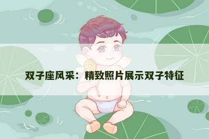 双子座风采：精致照片展示双子特征
