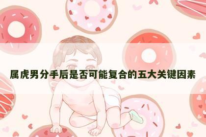 属虎男分手后是否可能复合的五大关键因素